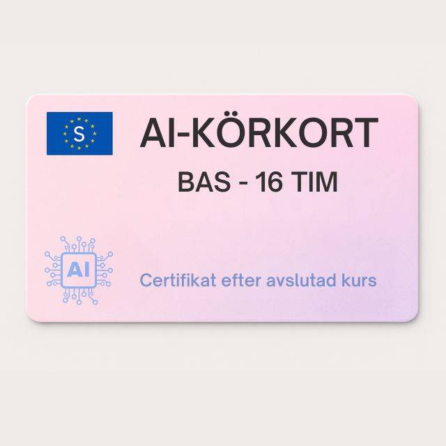 AI-körkortet Bas